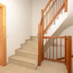 Alpehytte In/ski Out Tauernlodge By Schladming-appartements