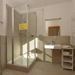 In/ski Out Tauernlodge By Schladming-appartements Alpehytte *
