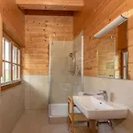 In/ski Out Tauernlodge By Schladming-appartements Chalet