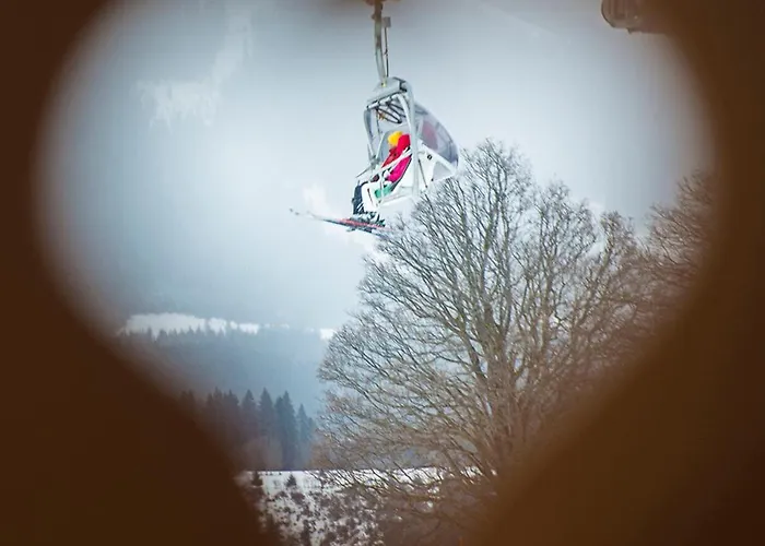 In/ski Out Tauernlodge By Schladming-appartements *